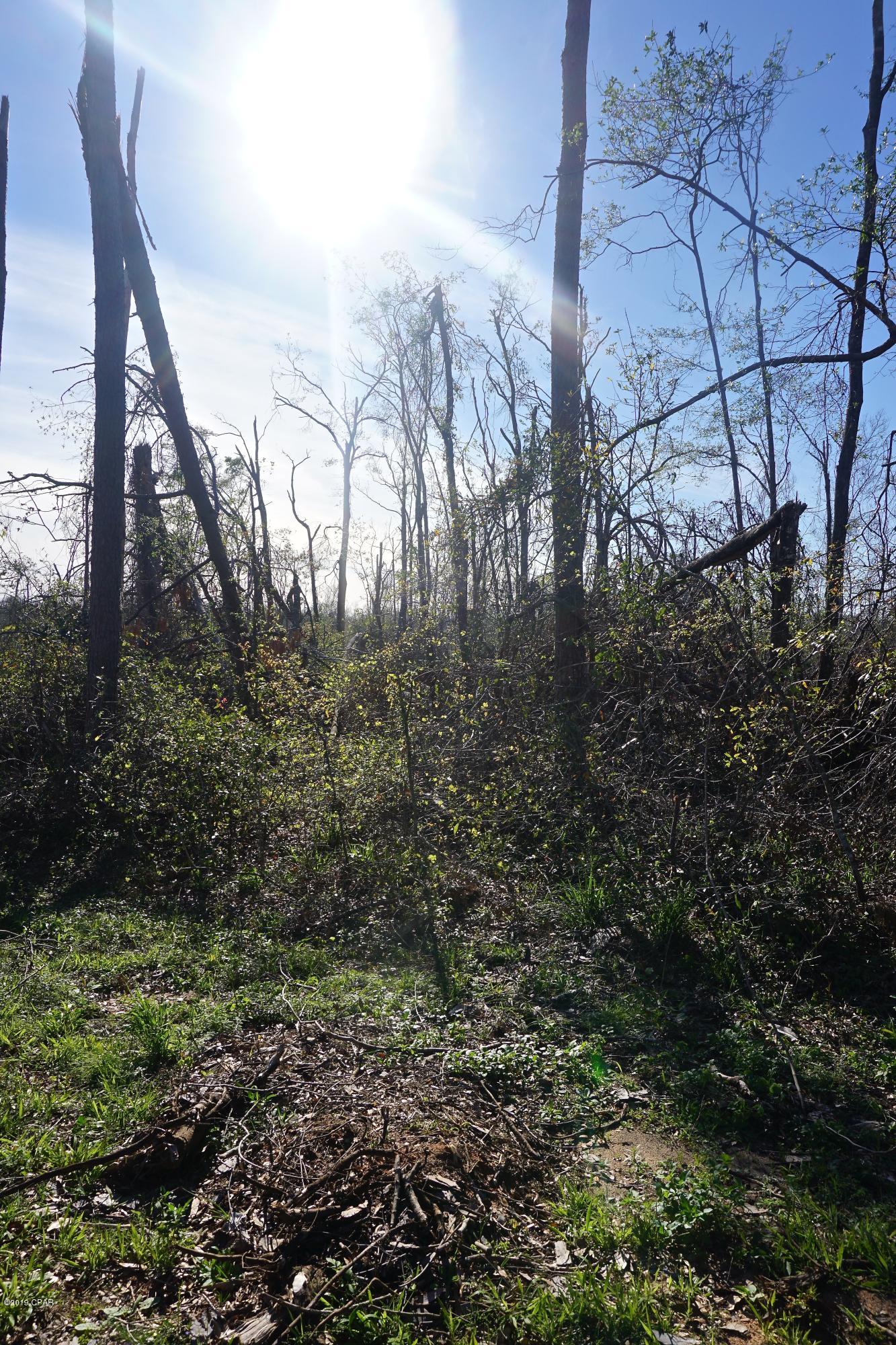 Indian Springs - Land