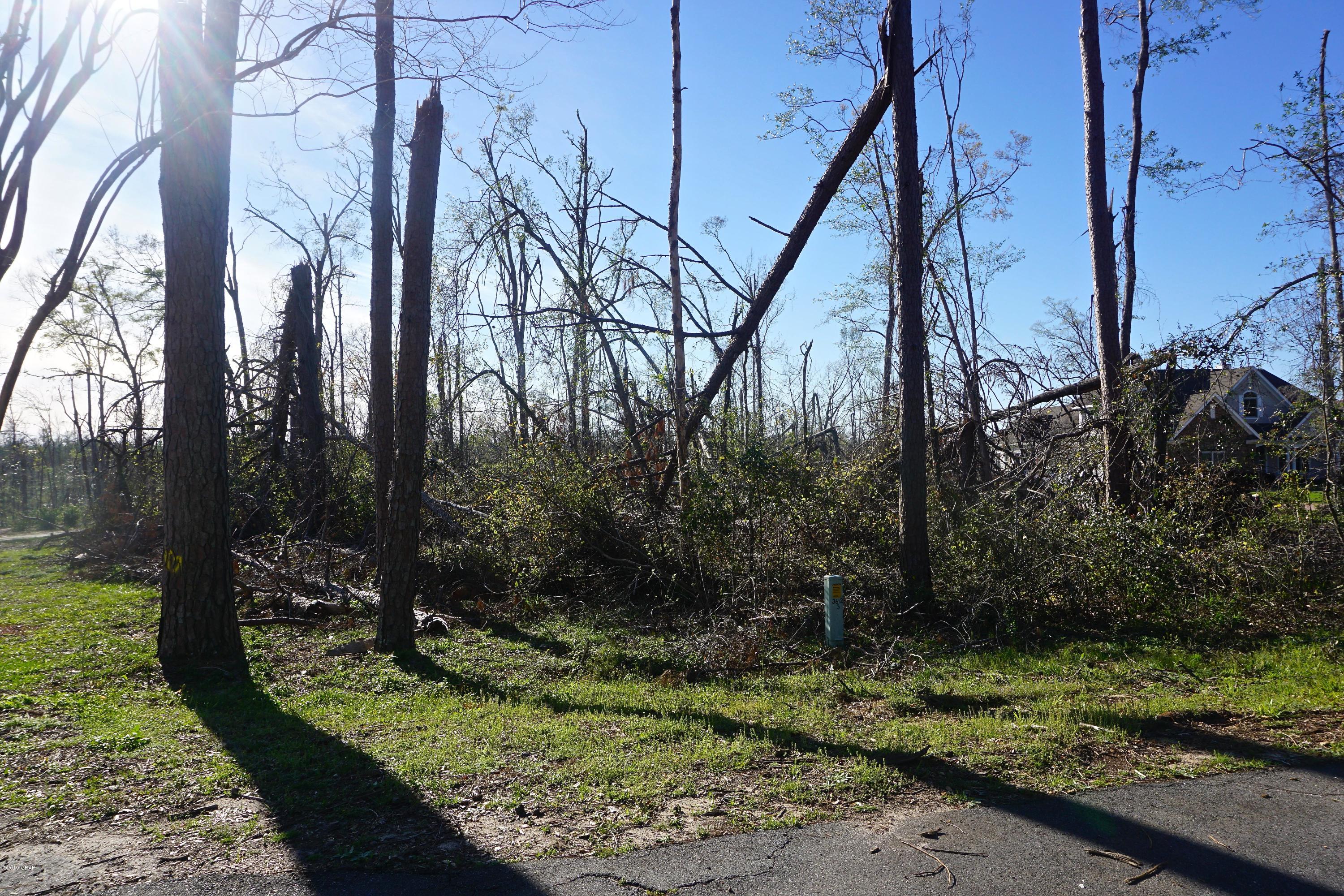 Indian Springs - Land