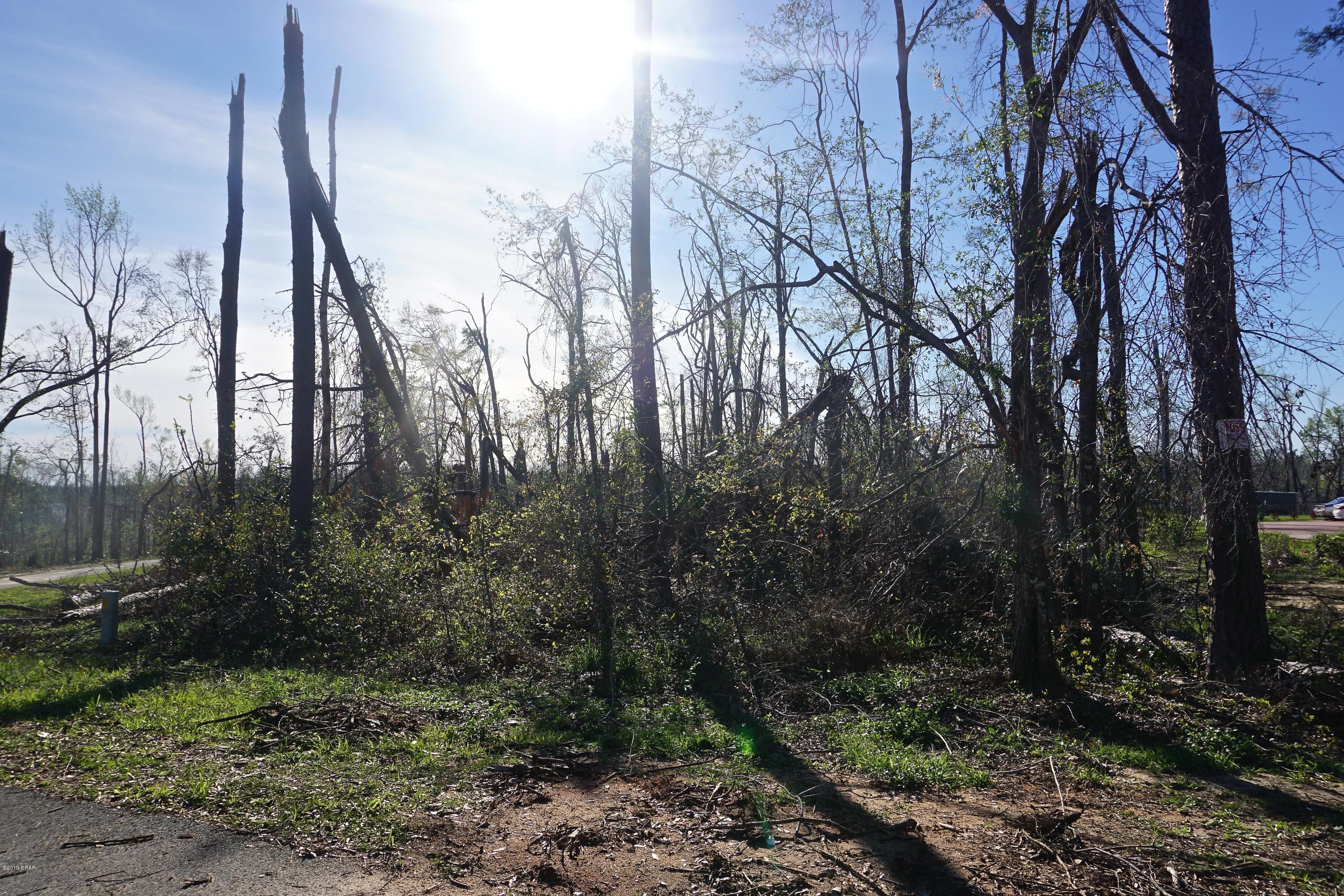 Indian Springs - Land