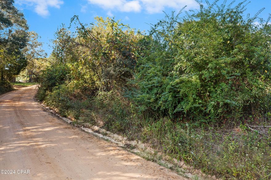 Discover the perfect spot for your dream home on this 1+/- acre lot! This wooded parcel offers ample space for your custom site-built or mobile home, providing endless potential to create your ideal living space. Enjoy the best of both worlds with a peaceful, scenic location while staying conveniently close to major destinations—just an hour from the stunning shores of Panama City Beach and 45 minutes to Dothan, Alabama. Don't miss this exceptional opportunity to build the lifestyle you've envisioned!
