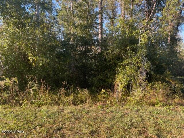 Compass Lake Hills Unit 4 - Land