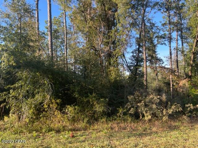 Compass Lake Hills Unit 4 - Land