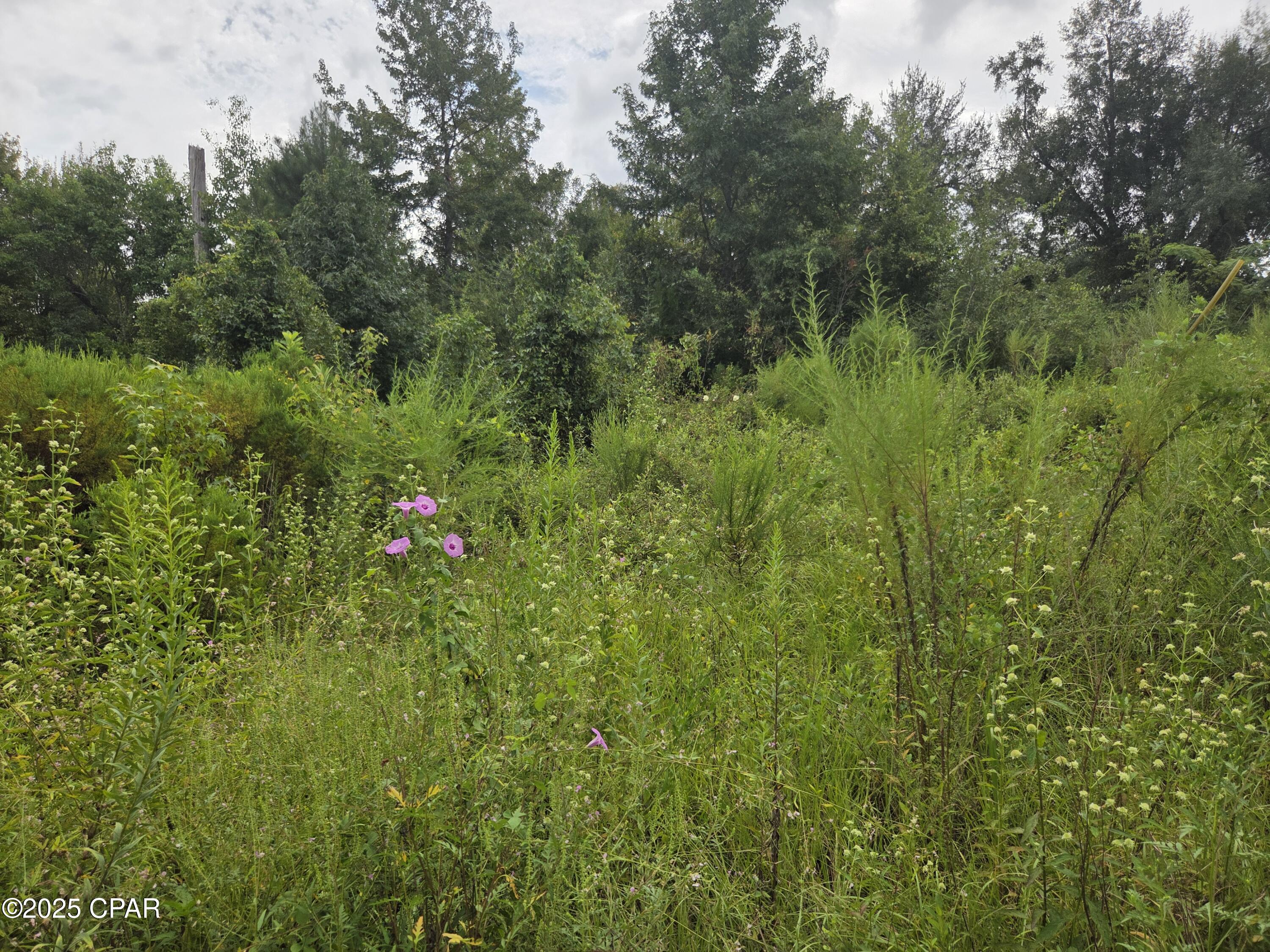 [No Recorded Subdiv] - Land