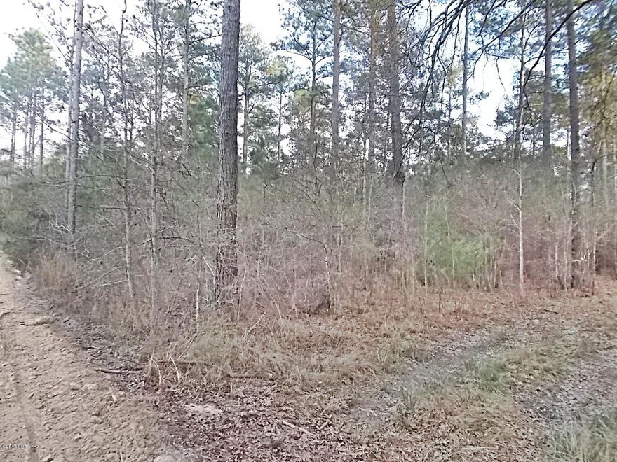 Very nice parcel of vacant wooded land for building or recreation, hunting is very good in this area, some large pines and nice oaks on the property, very quiet and peaceful.