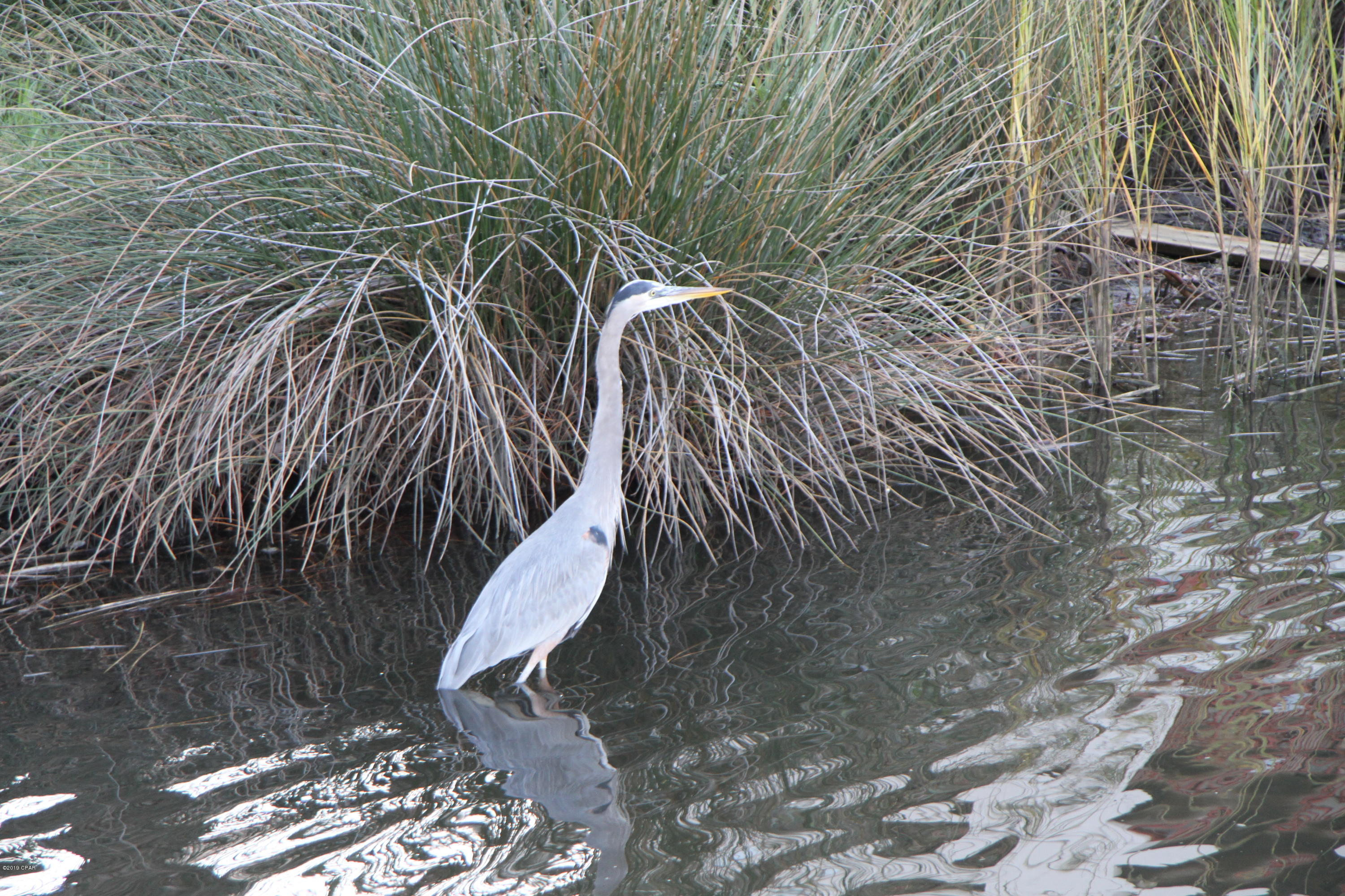 Plazas Of St.Thomas I - Residential