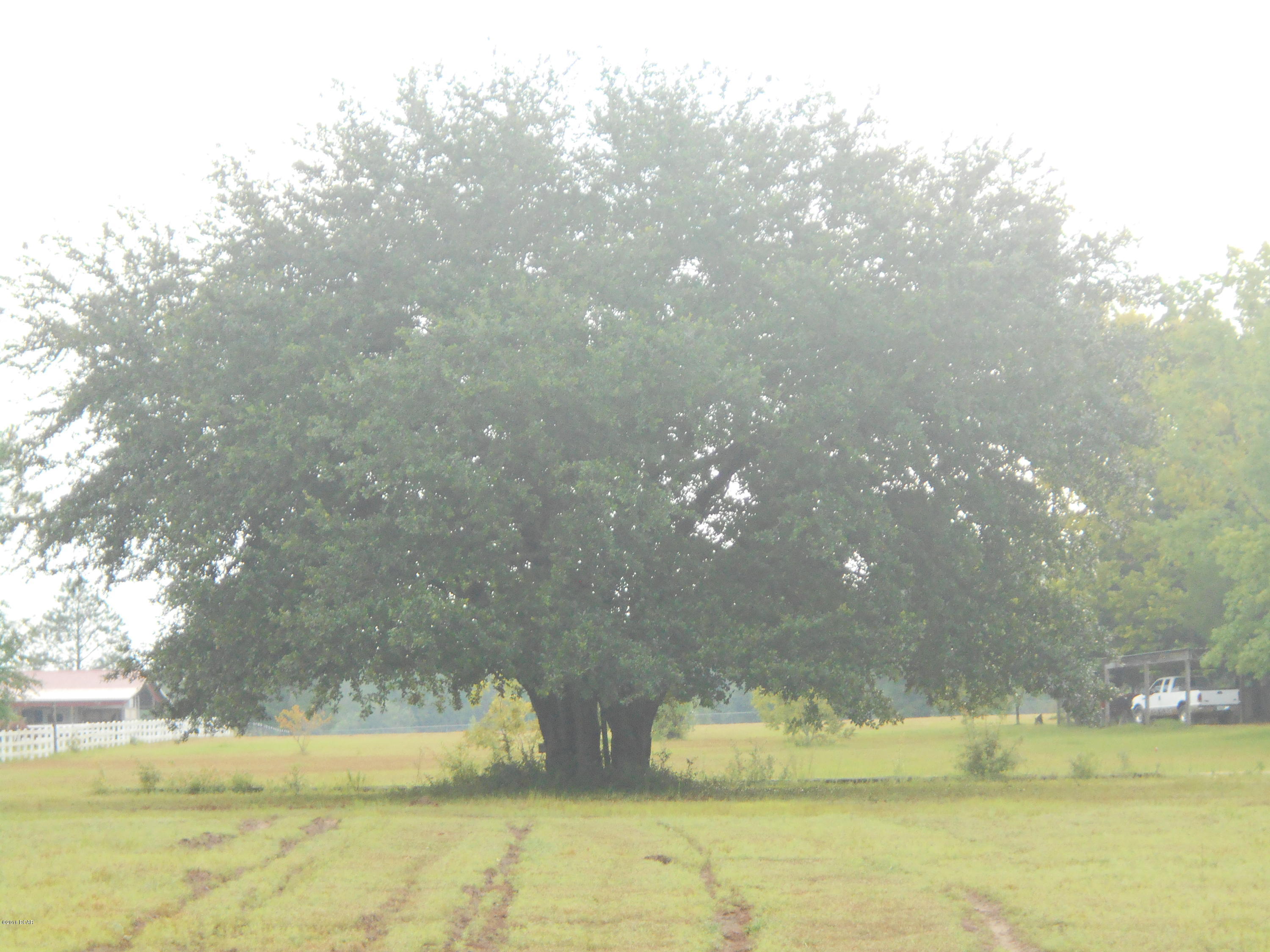 Highlands At Compass Lake - Land