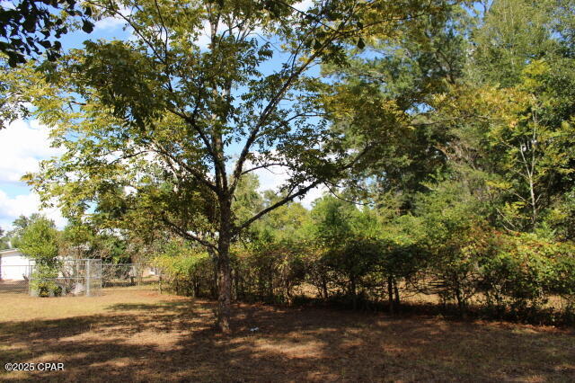 Chipola River Estates - Residential
