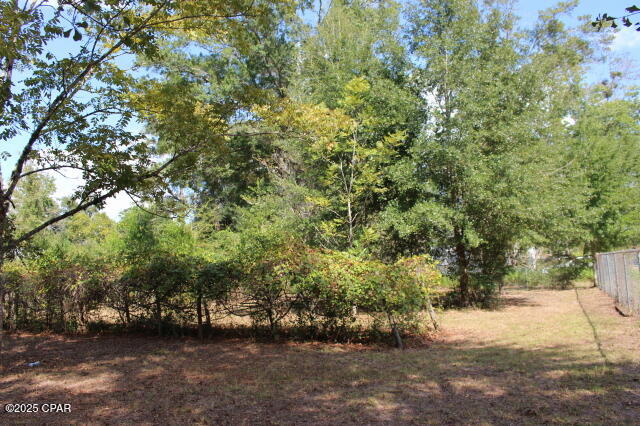 Chipola River Estates - Residential