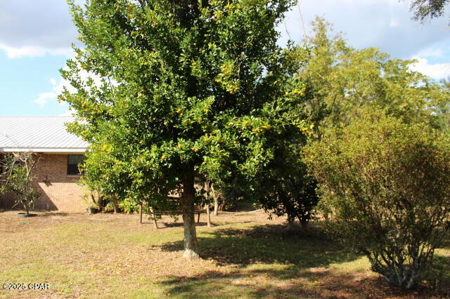 Chipola River Estates - Residential