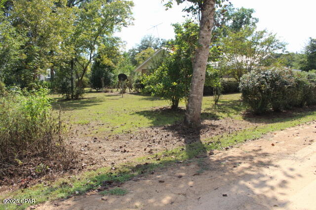 Chipola River Estates - Residential