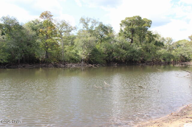 Chipola River Estates - Residential