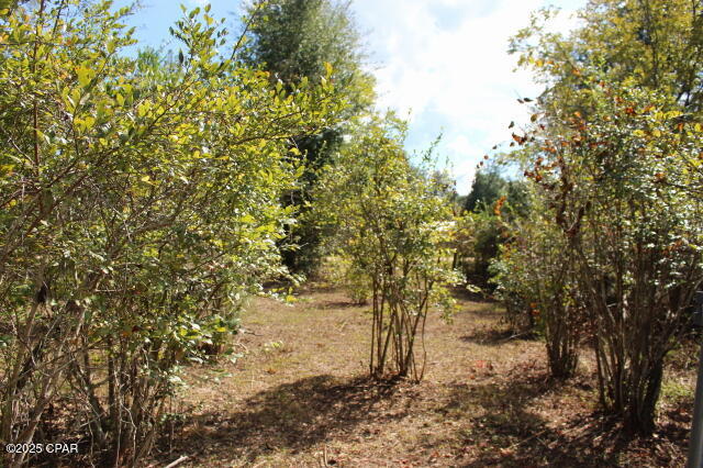 Chipola River Estates - Residential