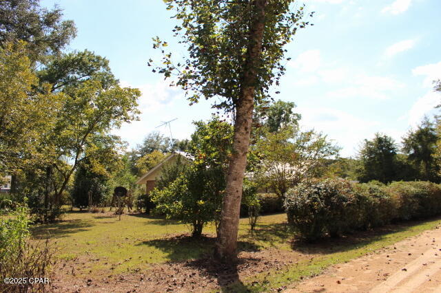 Chipola River Estates - Residential