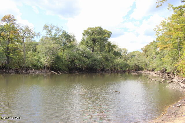 Chipola River Estates - Residential