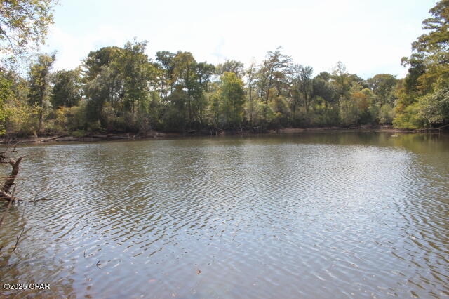 Chipola River Estates - Residential