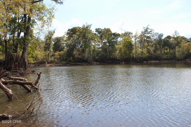 Chipola River Estates - Residential