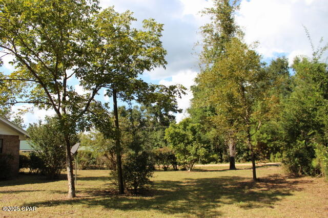 Chipola River Estates - Residential