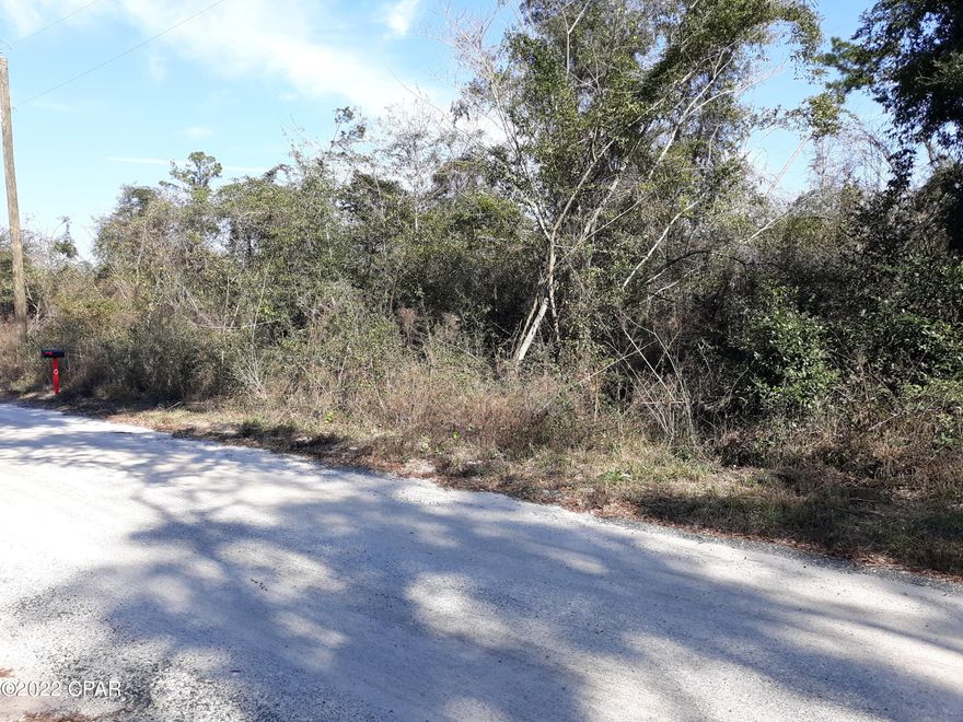 4 acres on maintained road that has great potential for a home or mobile home with plenty of room for animals and in the back of land , there is McNealy Pond.  Have current survey.