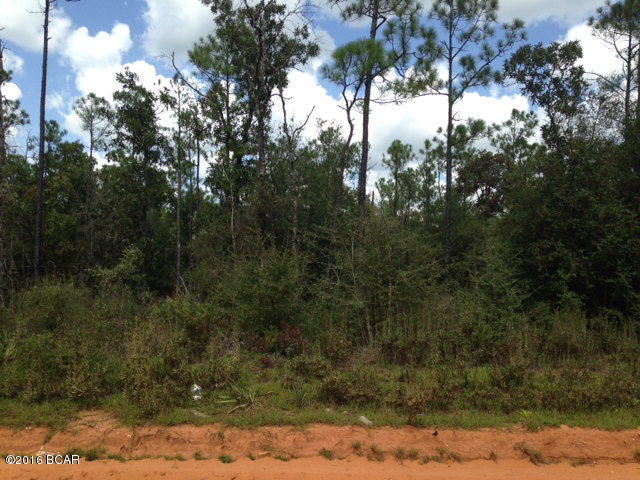 Buckhorn Creek - Land