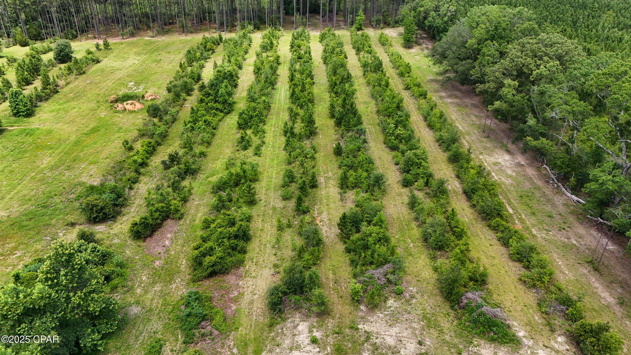 No Named Subdivision - Land