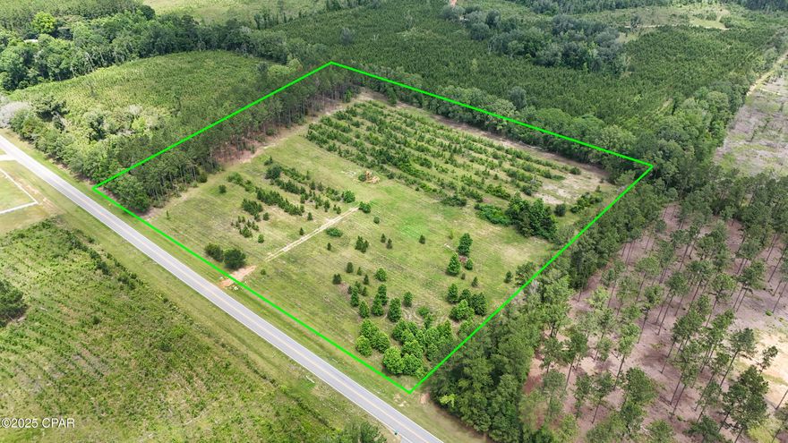 Gorgeous 9 Acre Tract less than 45 minutes from the Beach! This tract features gentle roll, and features lane cross cutting for any hunting enthusiasts. Property boasts large pines and paved road frontage, and is priced well below is neighboring comp. Schedule your showing on this piece today before it slips away.