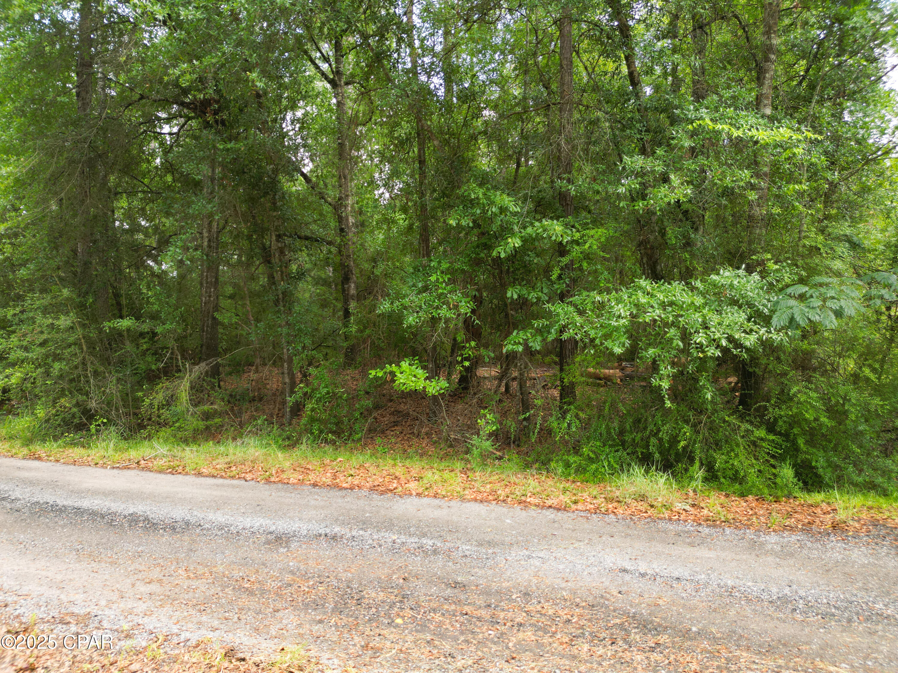 Dogwood Lakes - Land