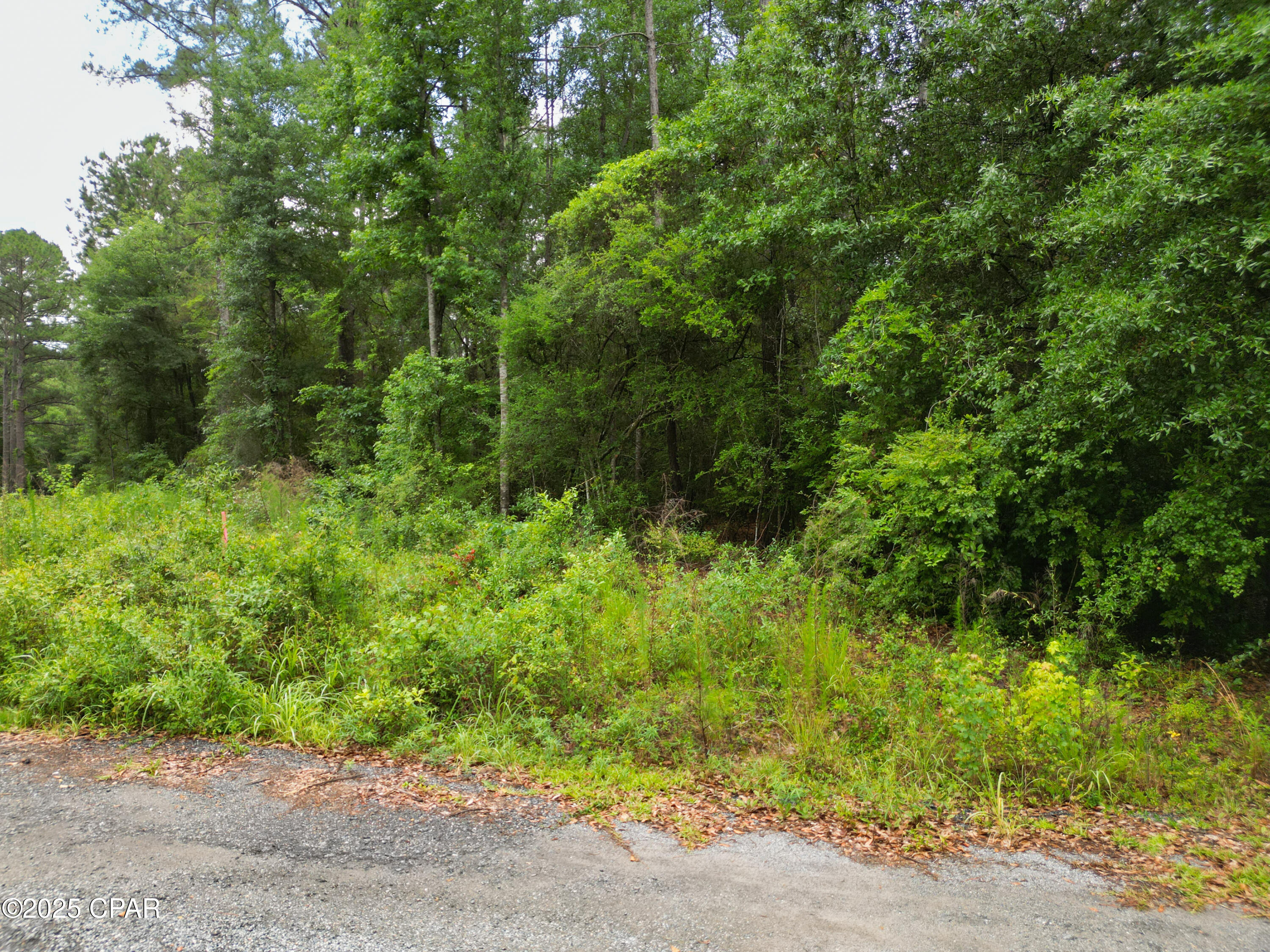 Dogwood Lakes - Land