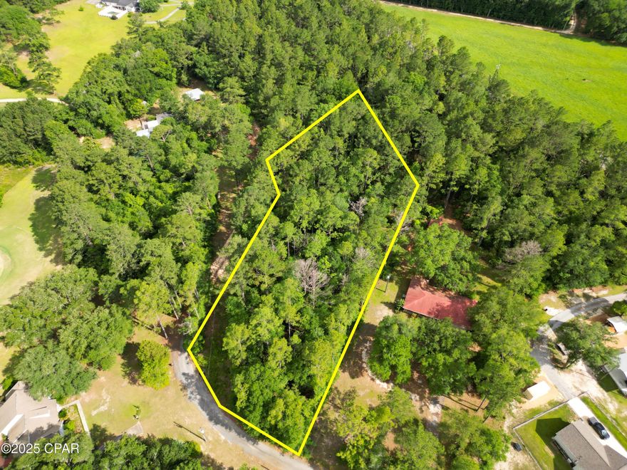 Discover 1.28 acres of peaceful, wooded land on Fairway Drive, nestled in the Dogwood Lakes community in Bonifay. This spacious lot offers a quiet, natural setting with plenty of room to build your dream home or weekend retreat. Located in a well-established area known for its scenic beauty and nearby golf course, this property provides a perfect blend of privacy and convenience. Enjoy the relaxed lifestyle of Dogwood Lakes while being just a short drive from local shopping, dining, and schools. Whether you're planning to build now or invest for the future, this lot is full of potential.