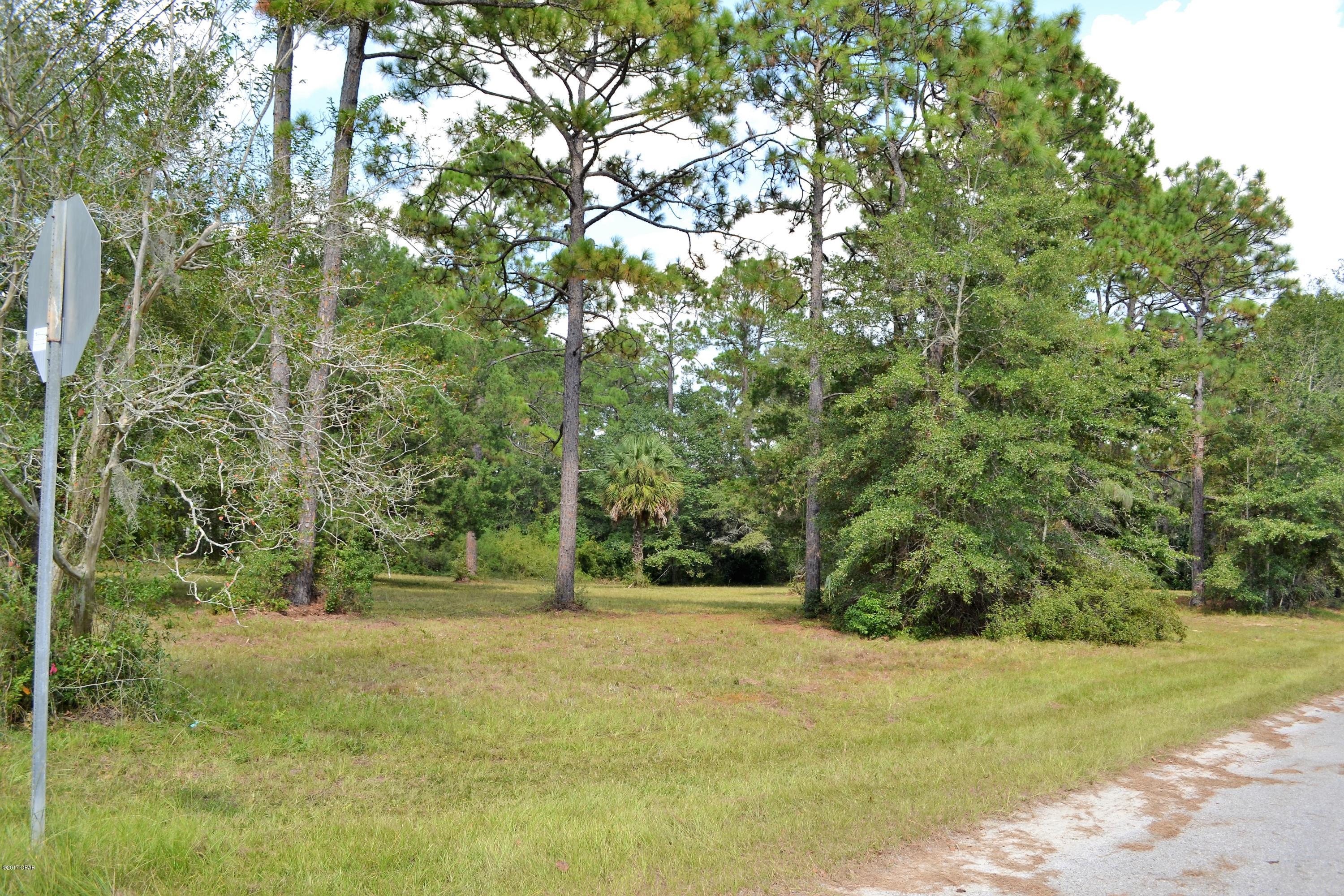 College Point Est 1st Sec - Land