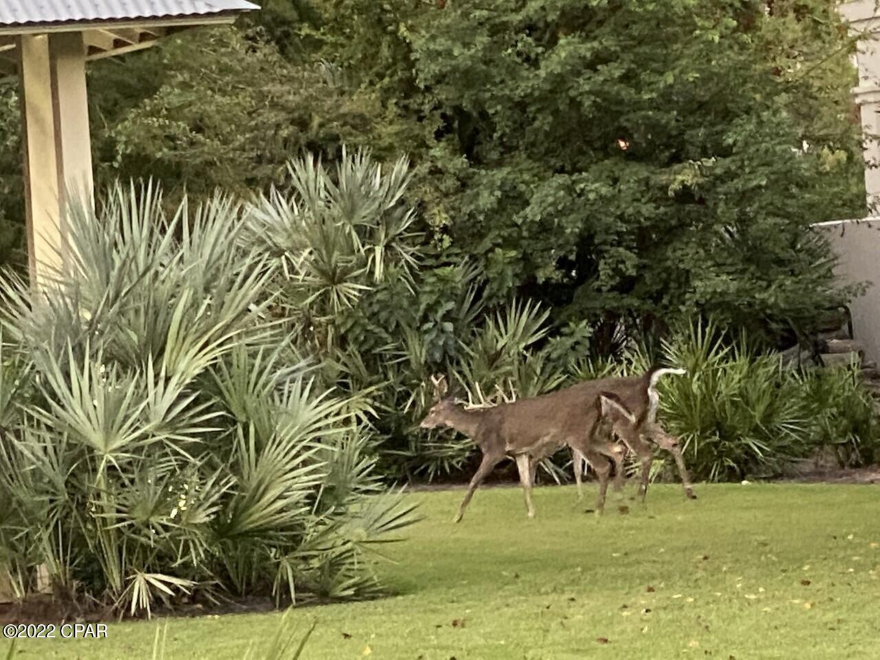 Martinique Phase I - Residential