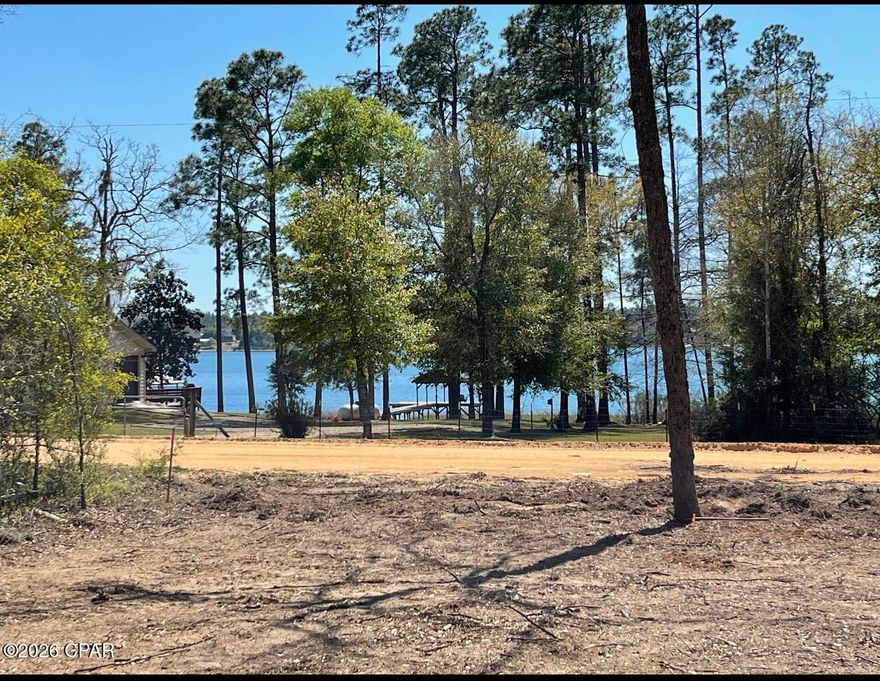 Beautiful Lot with Water View of Silver Lake which is one of the pristine lakes in Florida.  This lot has been mostly cleared and mulched and is ready for your home.  Almost one acre was cleared and about a half acre or so was left wooded in the back so it is a modified real estate cut.  Looks Great Must See.