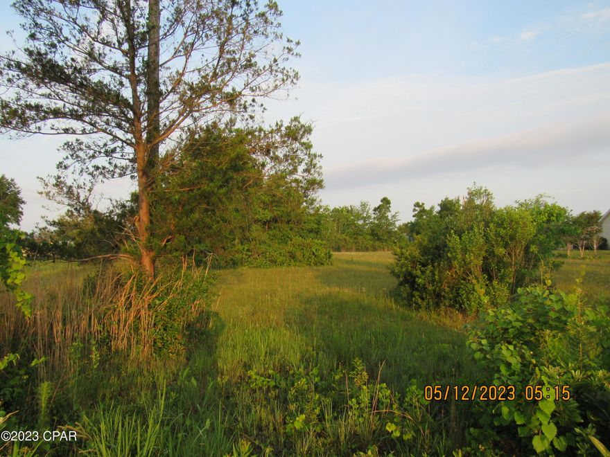 Perfect Building Parcel. This 1.03 acres is a GREAT property to get away from the city and expand your country vibe. With no HOA . Public water and sewer are available along with electric. You get the peace of living in the country and  Entertainment, Fine Dining and Fun of being only minutes away from Panama City. Just a little further and you HIT THE BEACH on the Sugar White Sands of Panama City Beach, with Famous Pier Park Shopping and some of the BEST Fishing on the planet. Only minutes from Tyndall Air Force Base, Cool Deep Water Springs, where you can kayak, swim, fish, paddleboard, camp and enjoy the beautiful outdoors. There are several State Parks nearby along with The Marianna Caverns. This parcel is in the best location to have it all. It has been cleared of the basic vegetation and the beautiful trees have been preserved. READY TO BUILD ON or hold it for an investment. Call today to secure this beautiful parcel. Measurements and zoning are believed to be correct, however, buyer should always verify. 'It is in your moments of decision that your destiny is shaped!' Tony Robbins
