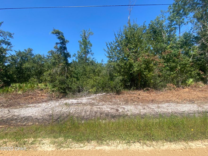 The perfect lot for your new build or mobile home.  Enjoy the peace and quiet of country living yet convenient to shopping, schools, and dining.  Property is wooded and will need a septic and well.  Go check it out today!