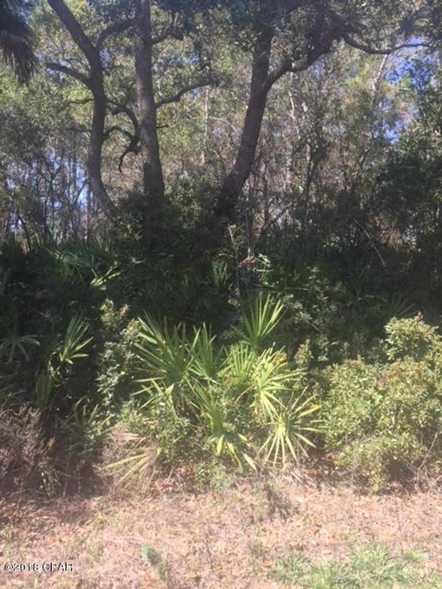 Beautiful Lot on 30-A looking over Port St. Joe Bay.