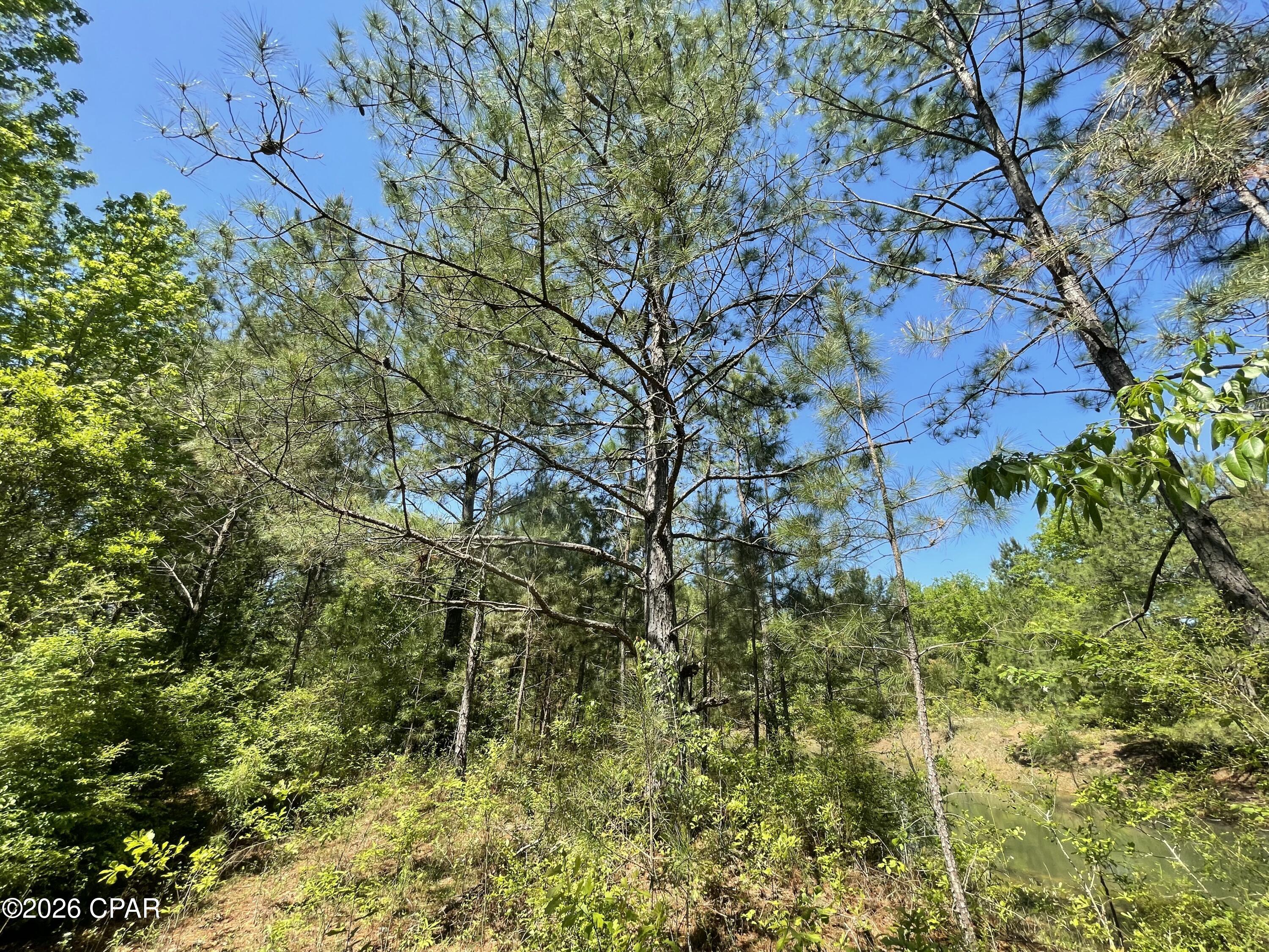 [No Recorded Subdiv] - Land