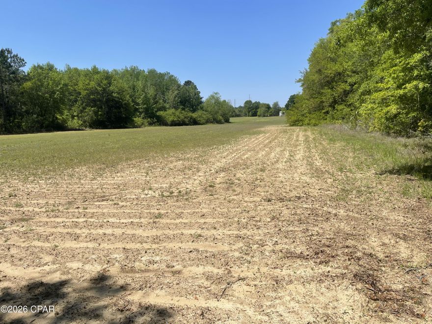 If you've been looking for beautiful land with space to build, garden, and enjoy the outdoors, this 10± acre property in Jackson County, Florida offers a comfortable and manageable setting. Located just 1.3 miles from Hwy 273, the property features dual access from both Peanut Road and Sharon Road, giving you flexibility in how you design your entrance and layout.
A healthy portion of the acreage is cleared pasture, providing open views and room for a small hobby farm. Whether you envision a few horses, a garden, chickens, or simply open space around your home, the land supports a practical country lifestyle without the maintenance of a larger tract. The remaining acreage offers a natural mix of timber, adding privacy, shade, and that classic North Florida feel. The property is mostly high and dry with multiple homesite options, allowing you to build with confidence.
A naturally fed creek winds through the land, bringing movement and life to the setting. It serves as a water source for wildlife, including whitetail deer and turkeys, and adds a peaceful backdrop to everyday life. The blend of pasture and woods creates a balanced environment -- ideal for a small-scale homestead where you can raise animals, plant a garden, or simply enjoy the outdoors.
Although you experience a quiet country setting here, you're just 1.3 miles from Hwy 273 and only 4 miles from Graceville, keeping nearby towns, schools, shopping, and everyday services within easy reach. It gives you room to spread out and enjoy your privacy, without feeling too far from the things you need day to day.
This property is first and foremost a place to build a home and create a simple, grounded lifestyle. Smaller acreage parcels that still offer pasture, trees, natural water, and road access are increasingly limited. Whether you're ready to build now or planning ahead, this 10-acre tract offers beauty, flexibility, and long-term value in North Florida. Call today for more information.  Note:  There is an adjacent 11 acres also available.
Key Features
• 1.3 miles to Hwy 273
• 4 miles to Graceville
• Dual access from Peanut Road (paved) & Sharon Road (dirt)
• Mix of cleared pasture and timber
• Naturally fed creek with wildlife presence
• Mostly high and dry with multiple homesite options
• Ideal for a hobby farm, garden, or horses