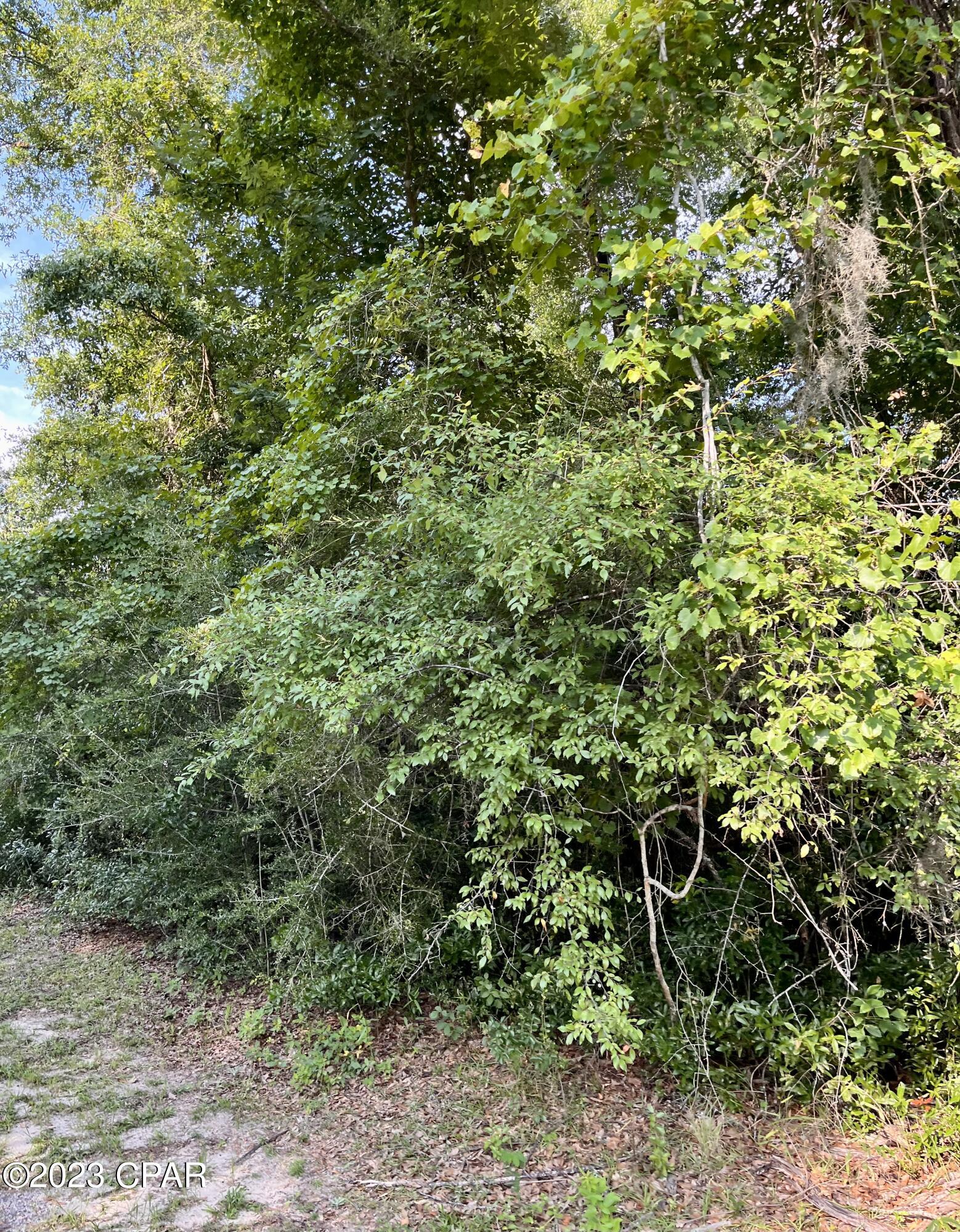 Holiday Estates - Land