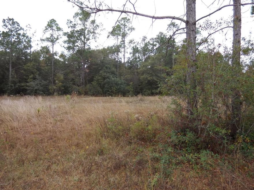 MOTIVATED SELLER!  Bring an offer, If you like the country living, look no further, these lots offers the quiet existence of country living with an approximately 20 min drive to Panama City to the Mall and all Restaurants and other attractions.  Call your Realtor for a Showing.