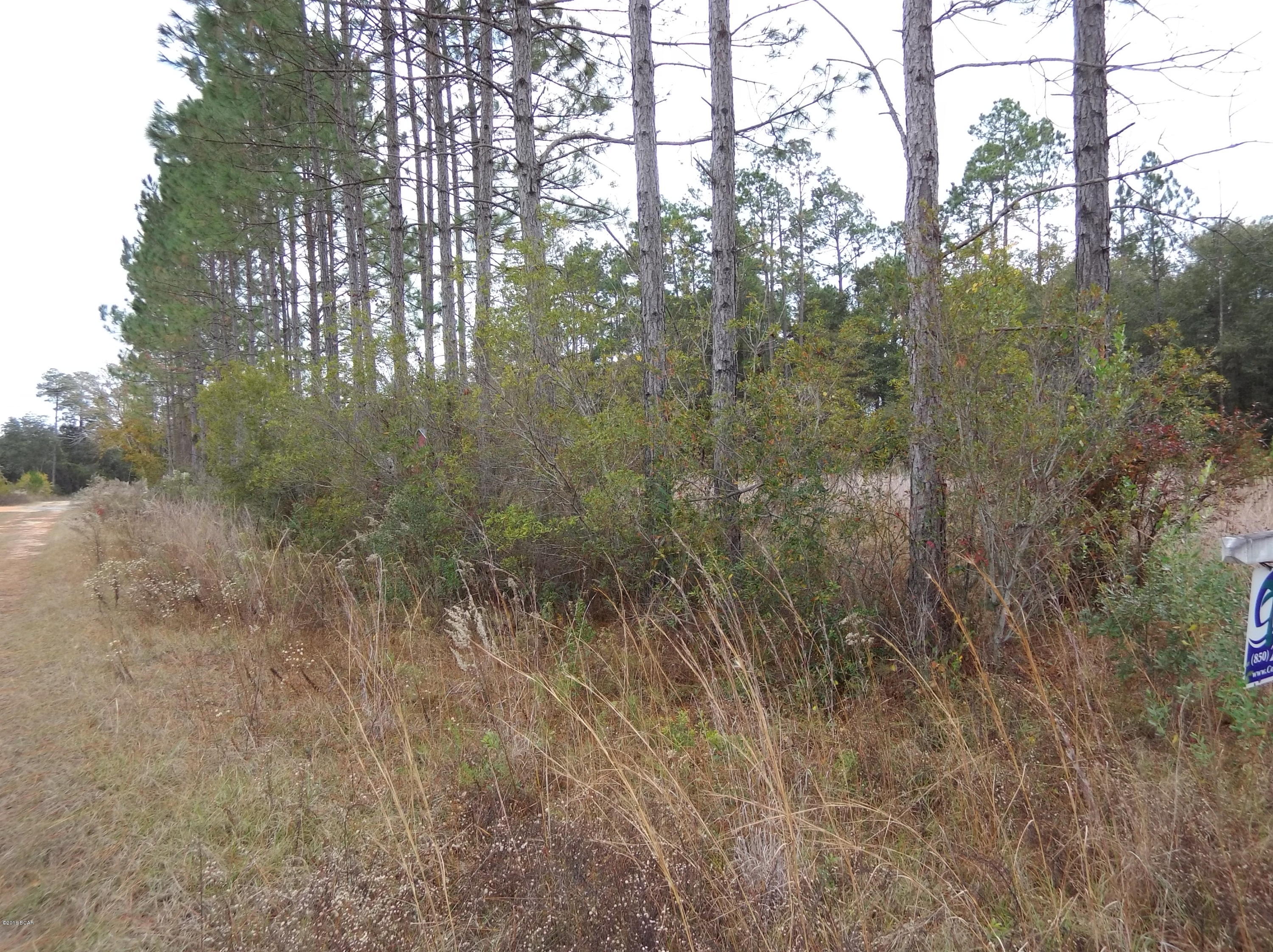 Timber Lake Homes - Land