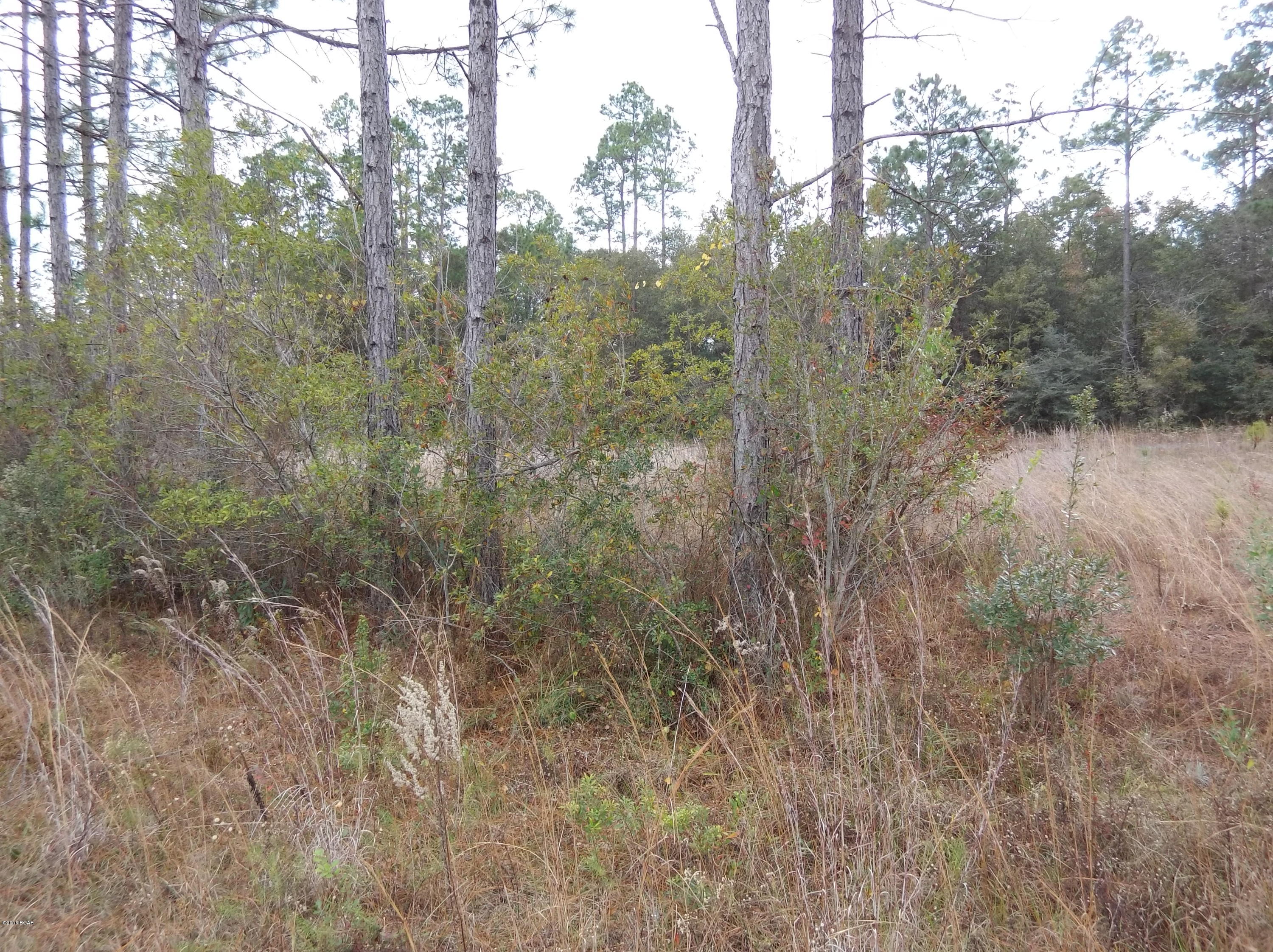 Timber Lake Homes - Land