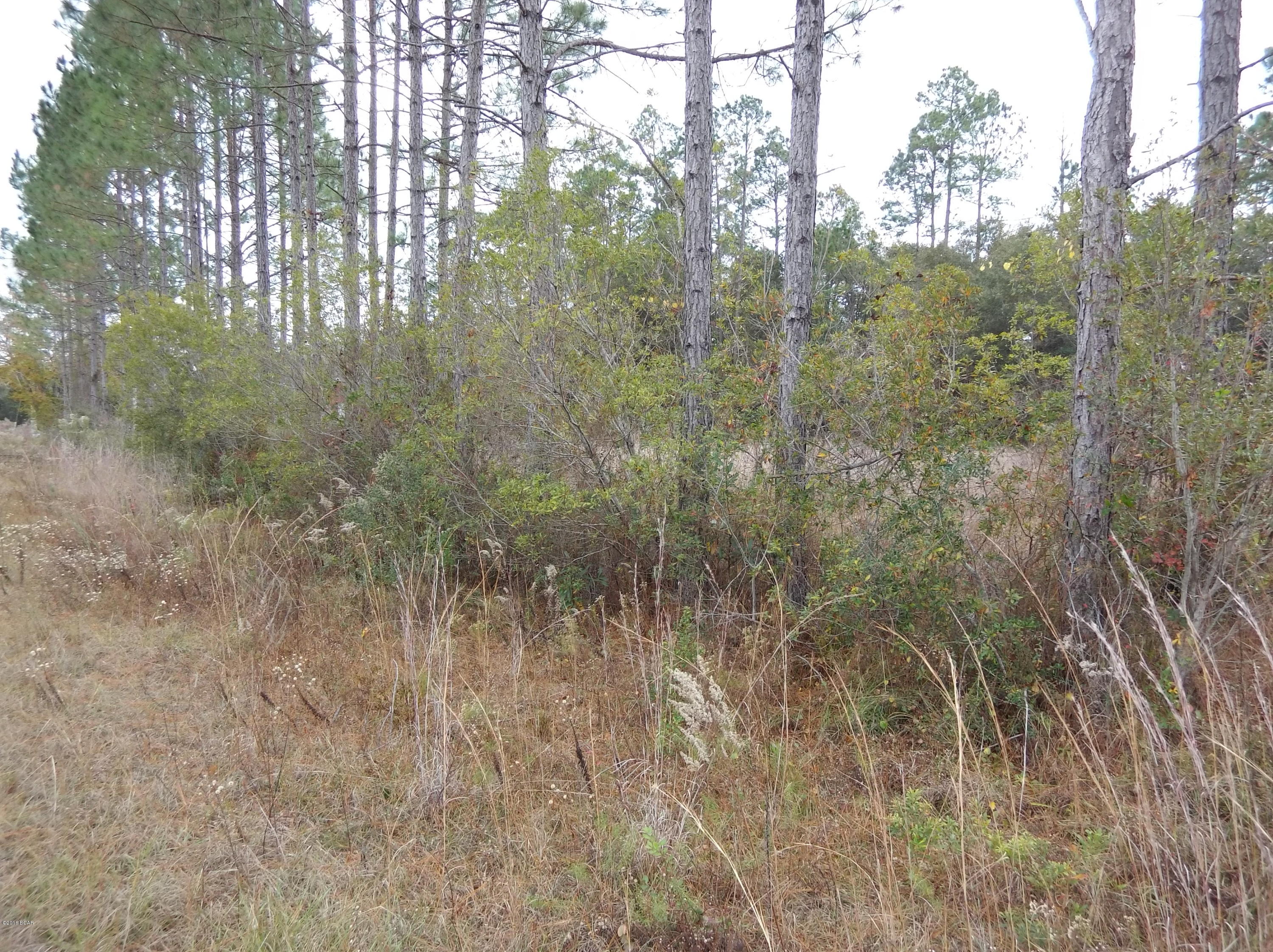 Timber Lake Homes - Land