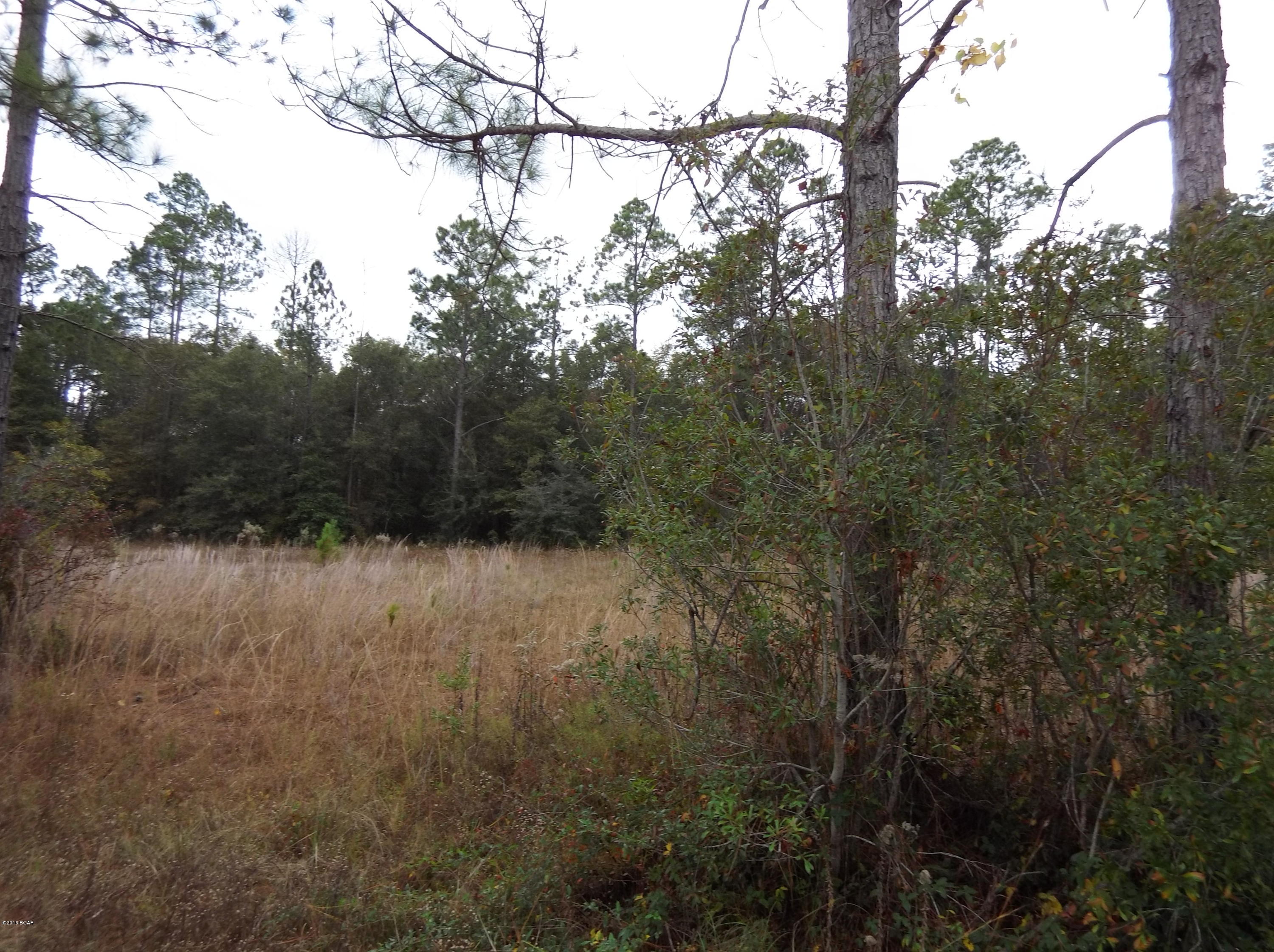 Timber Lake Homes - Land