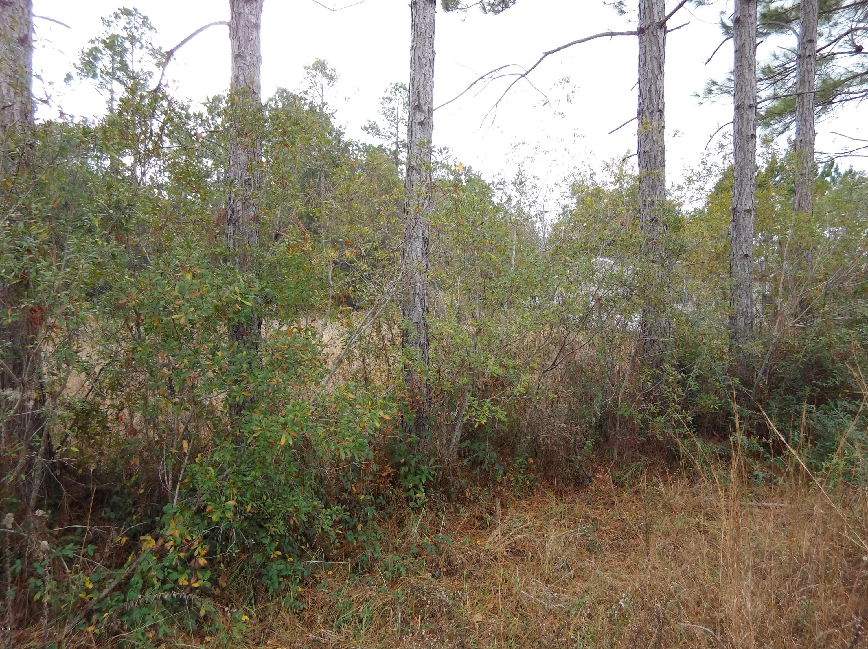 Timber Lake Homes - Land