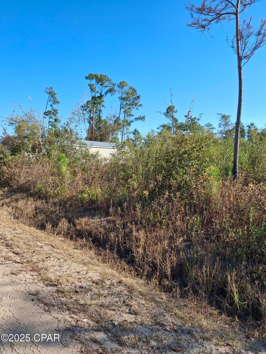 Nice Fountain lot.  This is 2 lots together.  Convenient to Hwy 20, Tyndall, Downtown Panama City and Econfina Creek.