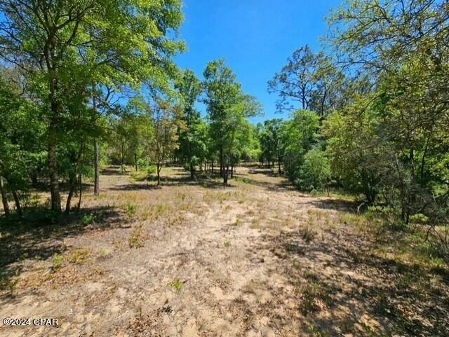 Spanish Lake Estates - Land