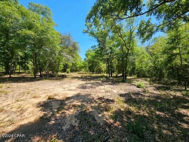 Spanish Lake Estates - Land