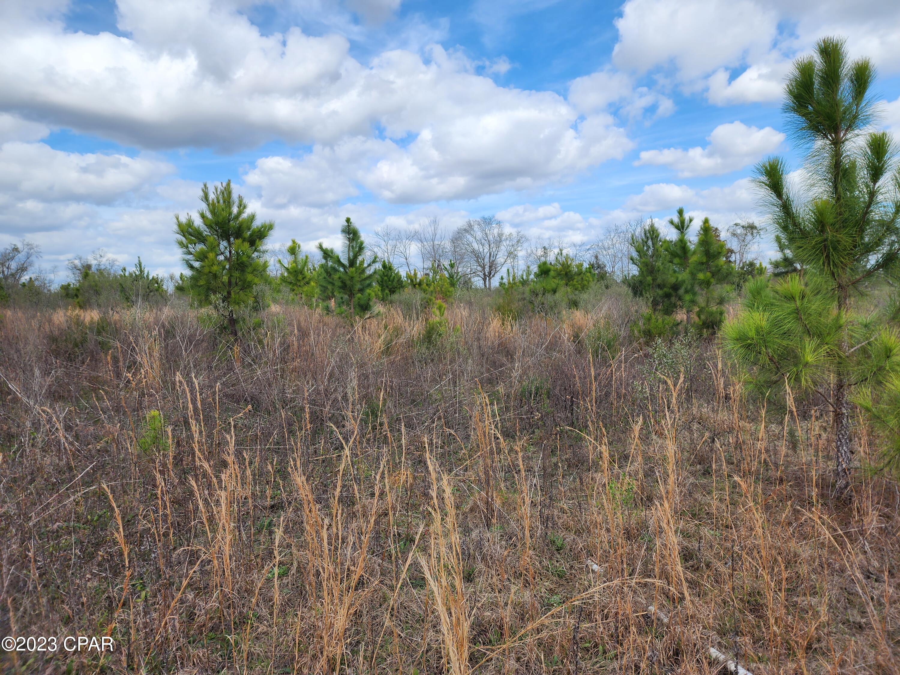 No Named Subdivision - Land