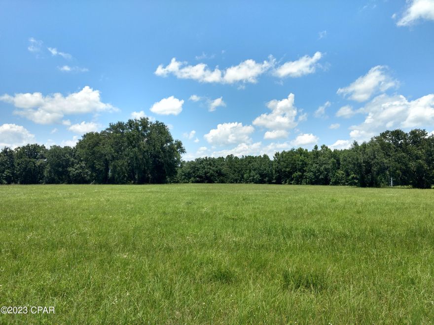 Beautiful tract of land in the country. Mostly cleared with some woods around the perimeter. Would make a great home site. with lots of room for a barn, some animals and a garden.  Appears to be high and dry, come and see today!
