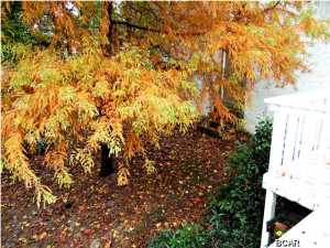 Gulf Highlands - Residential