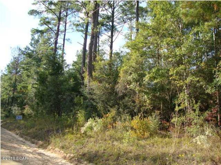 2 Acres Land. Wooded with hardwoods and oaks. High and Dry. Frontage on County maintained dirt road. Short distance to town. South of I-10.